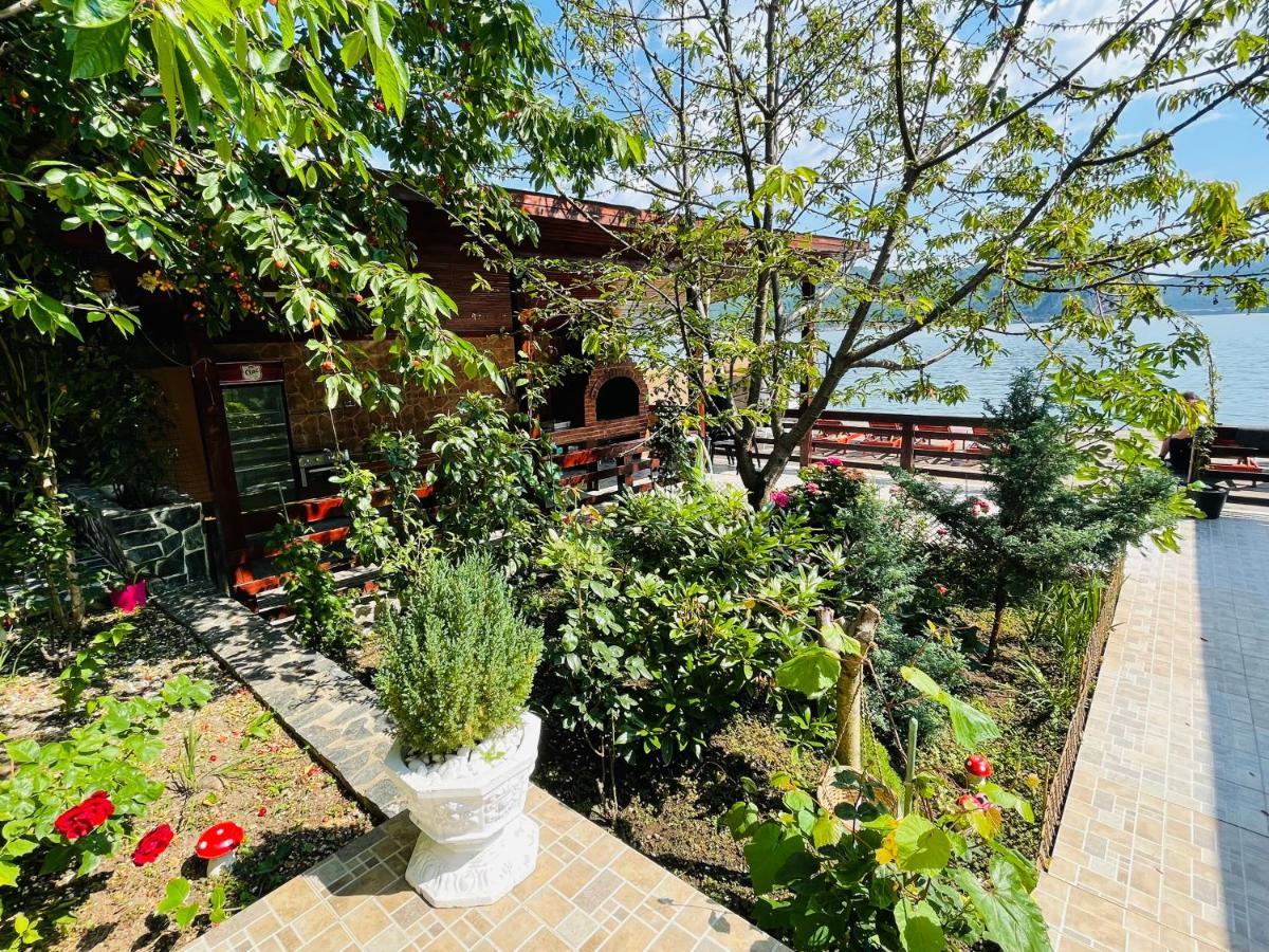 Hotel Casa Camelia Dubova Exterior foto